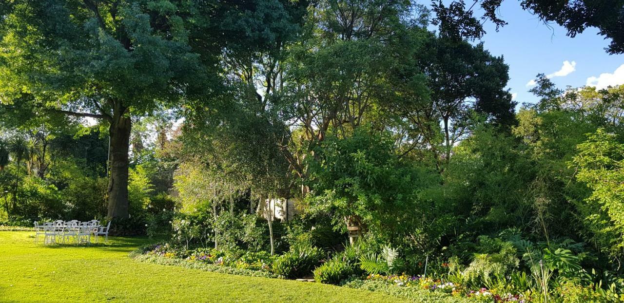 A Peaceful Retreat Bed & Breakfast Sandton Ngoại thất bức ảnh